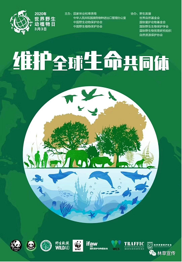 欧博abg(游戏)官网