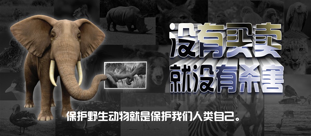 欧博abg(游戏)官网