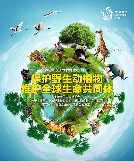 欧博abg(游戏)官网